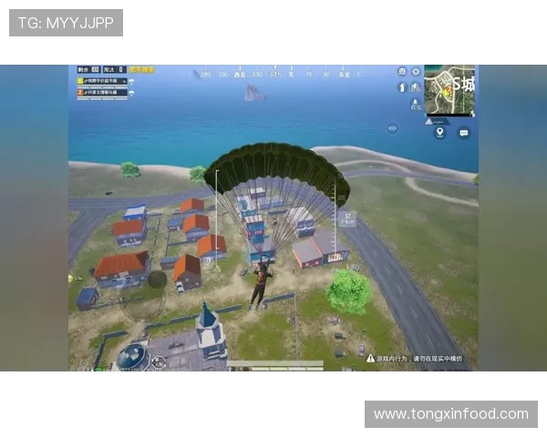 和平精英巨献:深入解析WE战队的实力与战术魅力