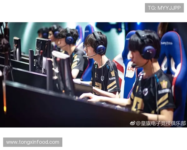 城市赛积分榜更新RNG战队以73分稳居第一名