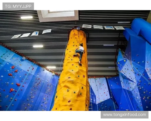 广州攀岩队快攻革新之路探索与实践的深度剖析