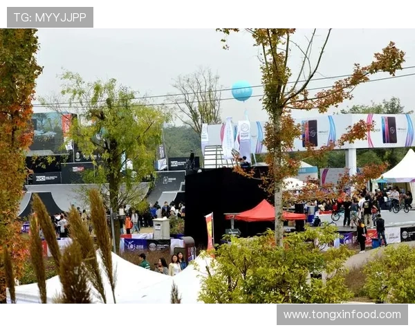 成都极限运动队快攻策略分析与成败经验分享